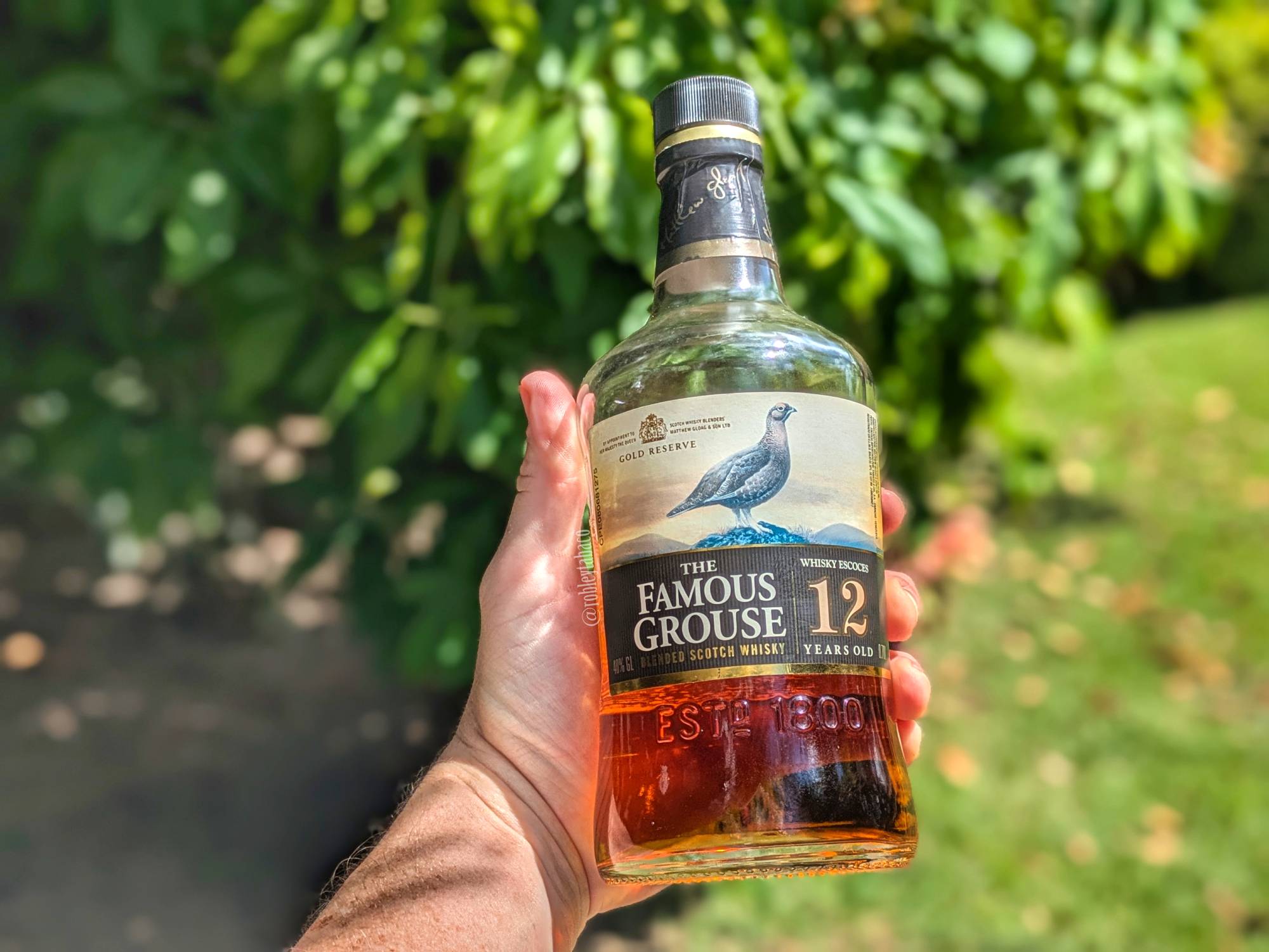 Whisky: The Famous Grouse 12 Gold Reserve – Humo y Tabaco