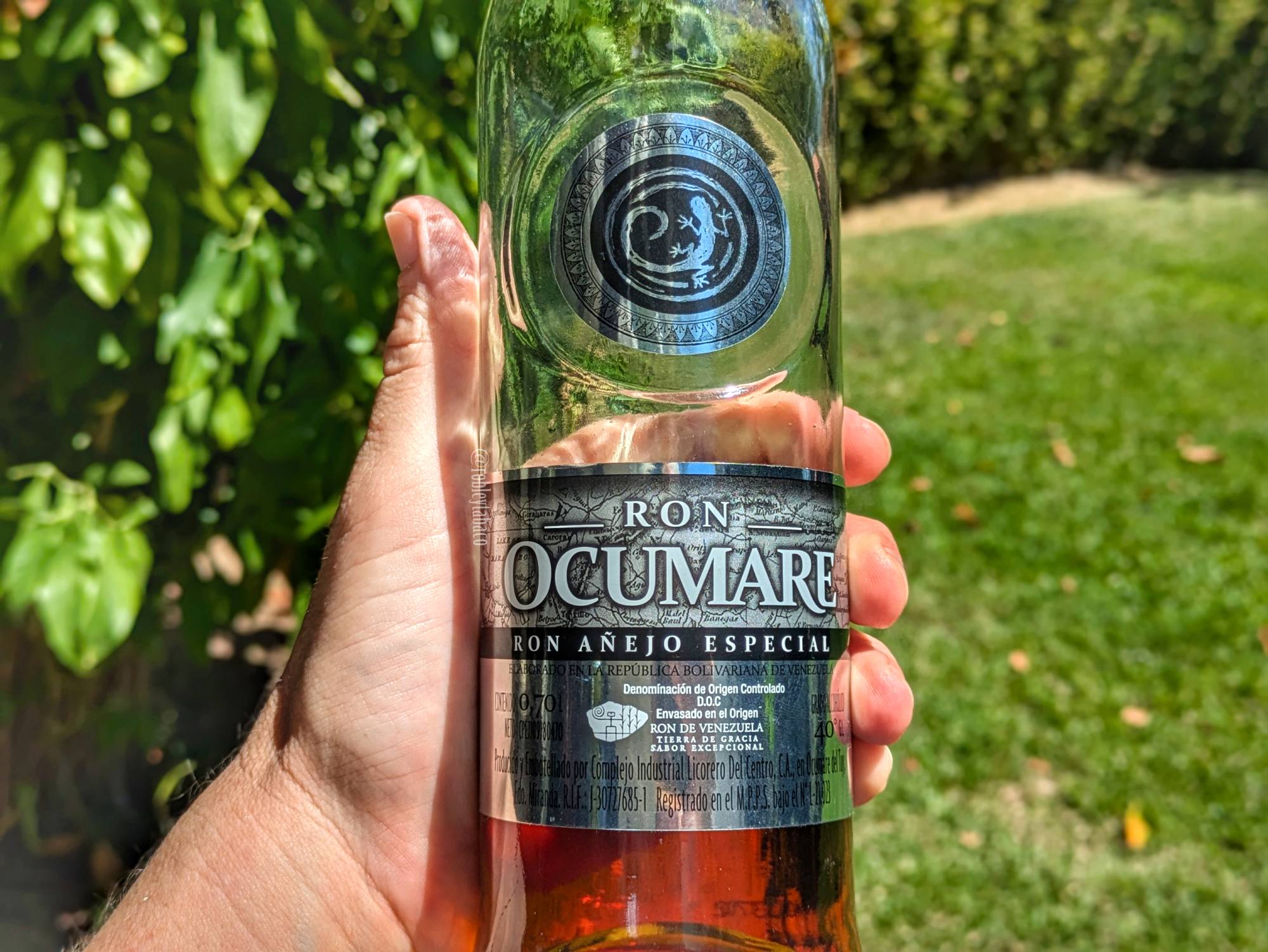 Sorry! Image not available at this time