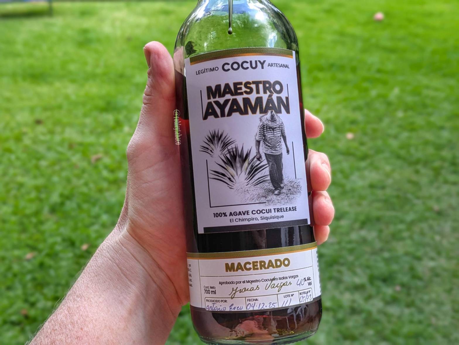 Maestro Ayaman Macerado label