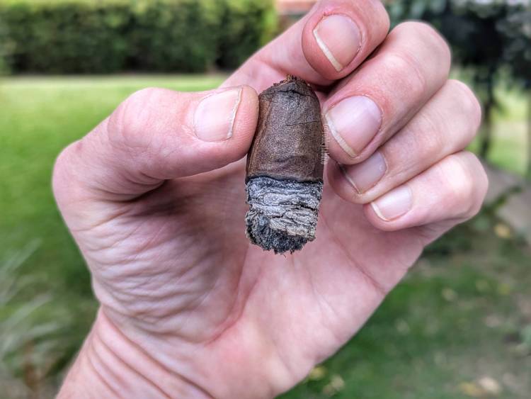 Onyx - Bold Nicaragua (Robusto) last third