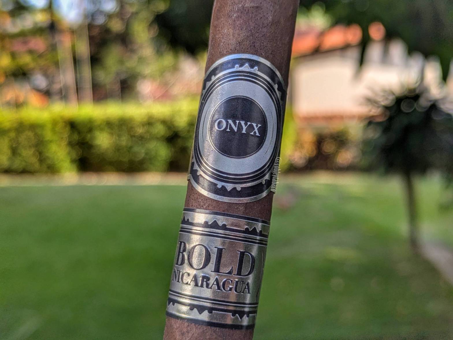 Onyx - Bold Nicaragua (Robusto) label