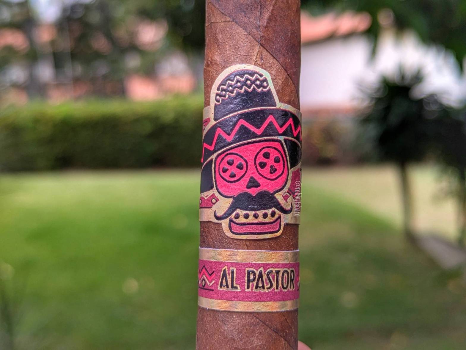 Rojas - Street Tacos Al Pastor band