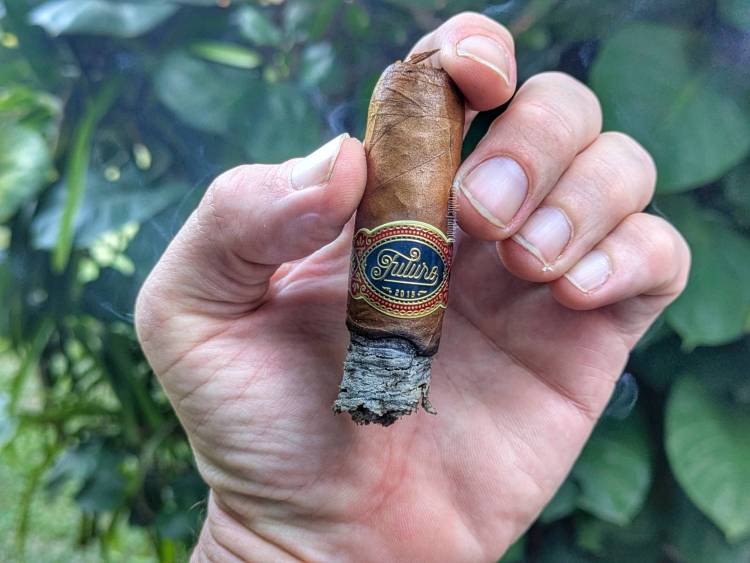 Warped - Futuro (Robusto) last third