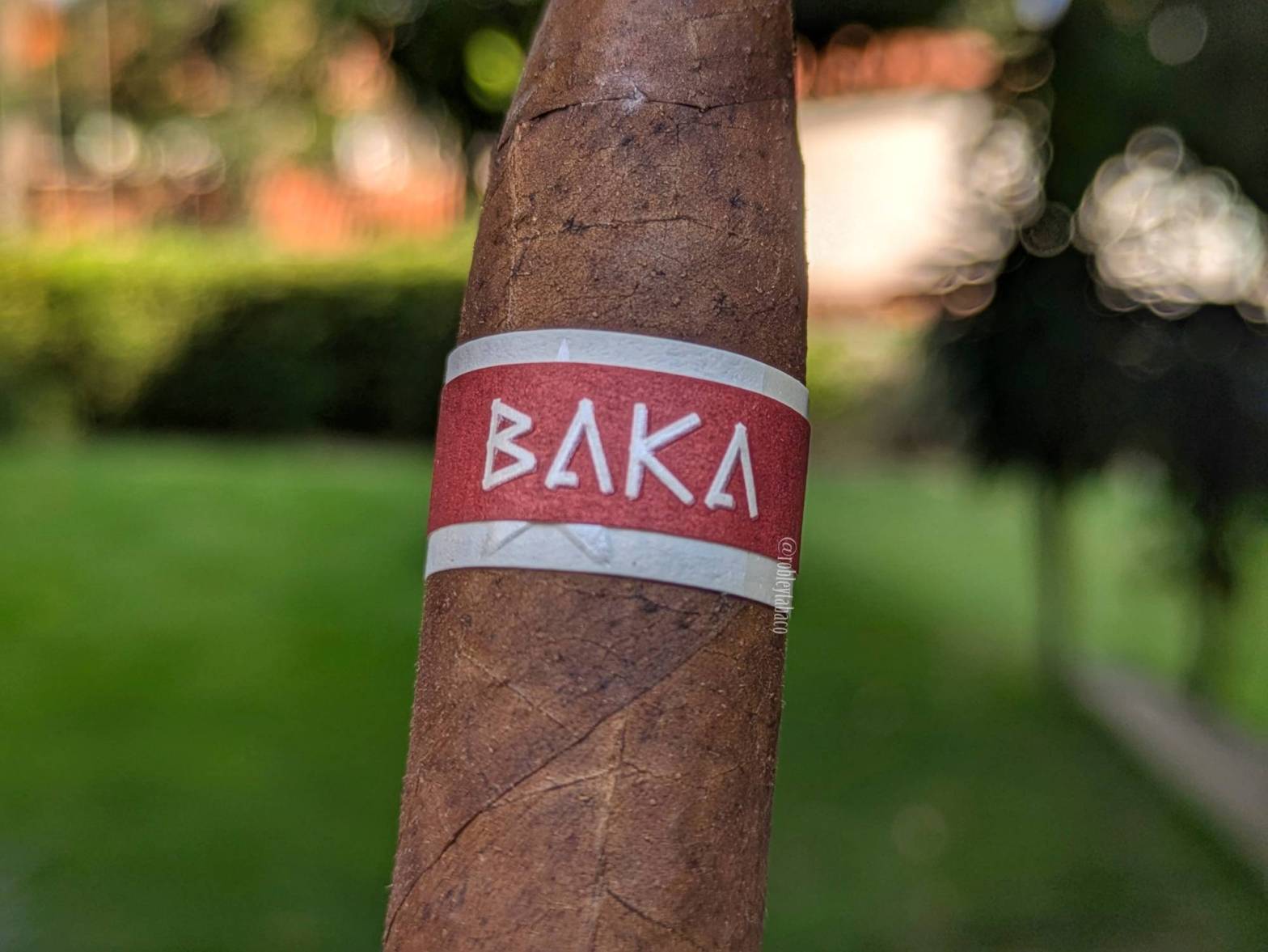 RoMaCraft - Baka (Poki) band