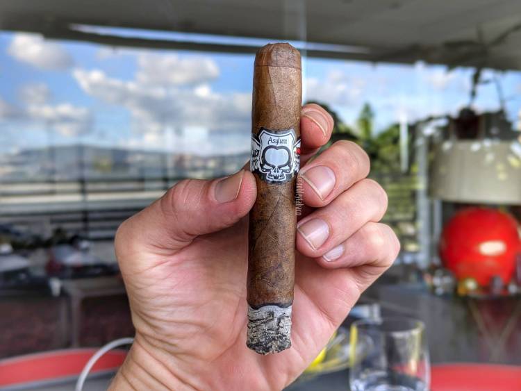 Asylum - Nyctophilia (Robusto) first third