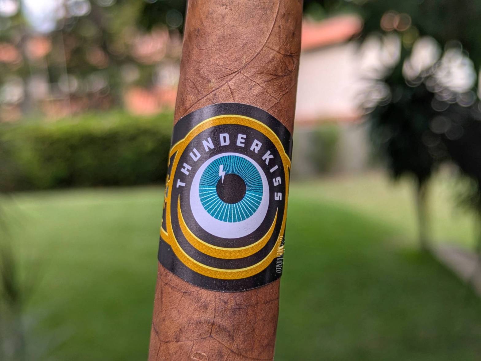 Crowned Heads - Thunderkiss band