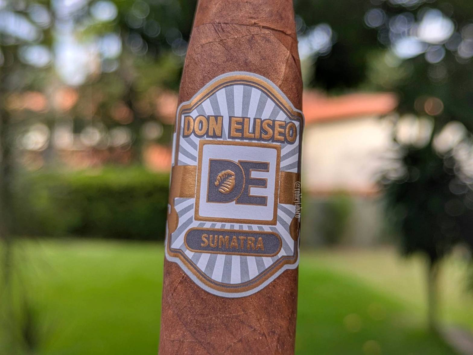 Don Eliseo - Sumatra band