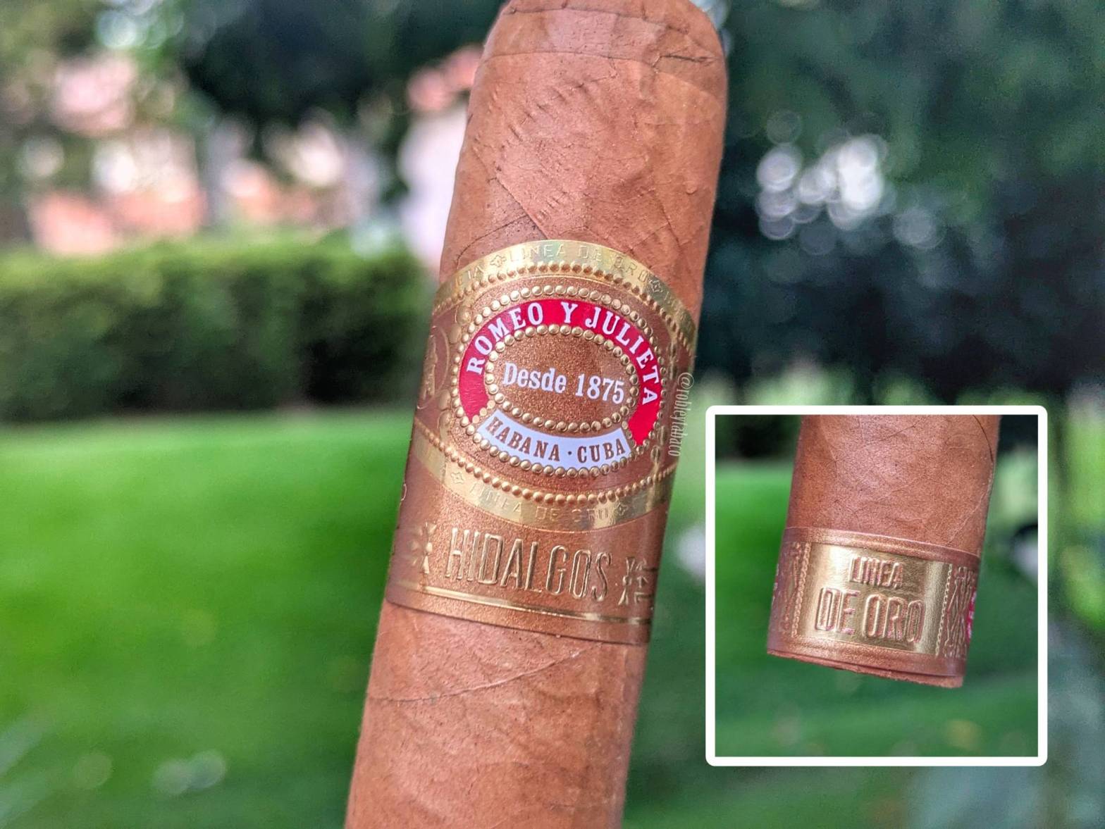 Romeo y Julieta - Linea de Oro Hidalgos band