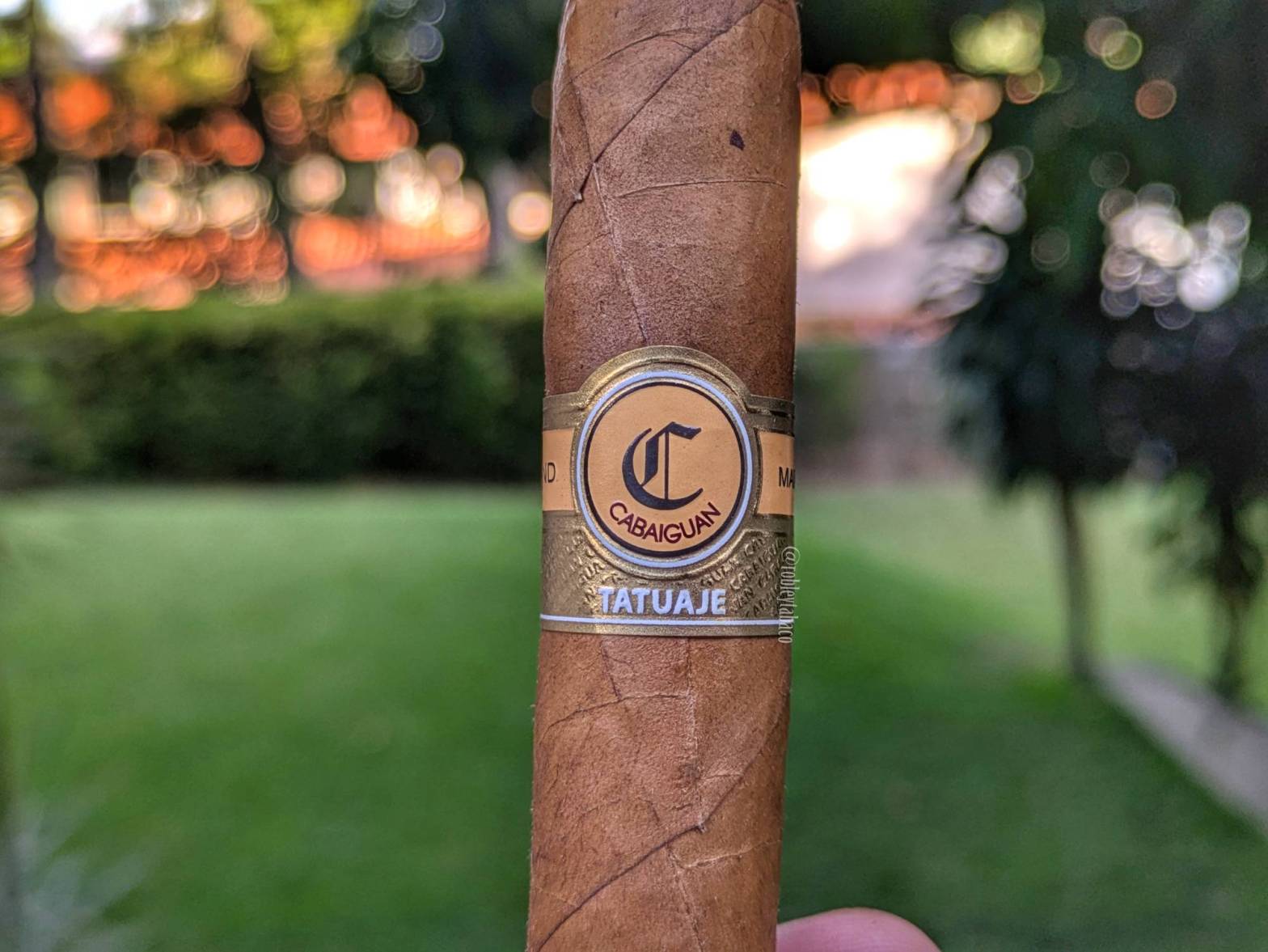 Tatuaje - Cabaiguan (Coronas Extra) band