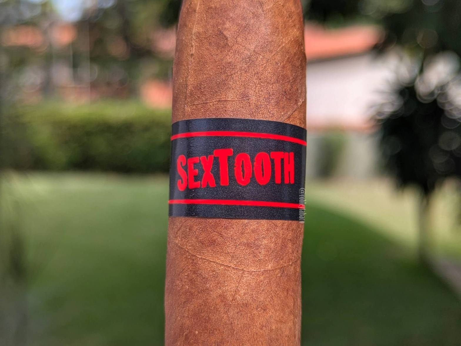 Tatuaje Sextooth band