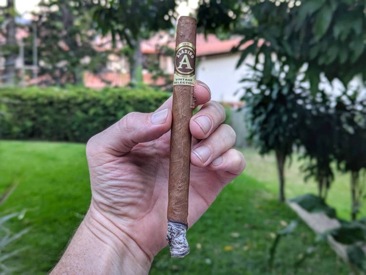 Aladino - Habano Vintage (Elegante) first third