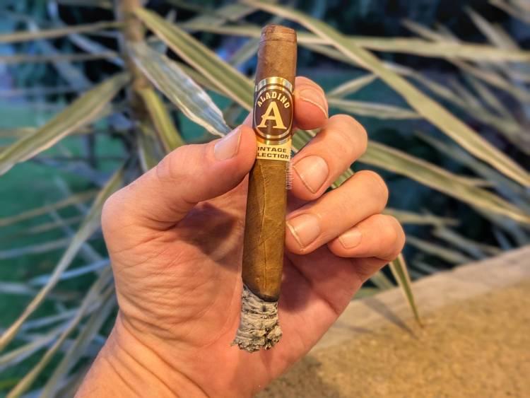 Aladino - Habano Vintage (Elegante) second third