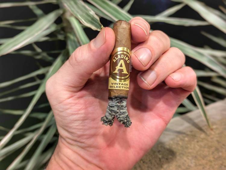 Aladino - Habano Vintage (Elegante) last third