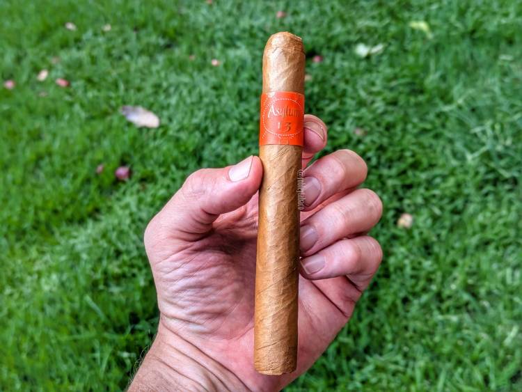 Asylum - Connecticut (Toro) cigar