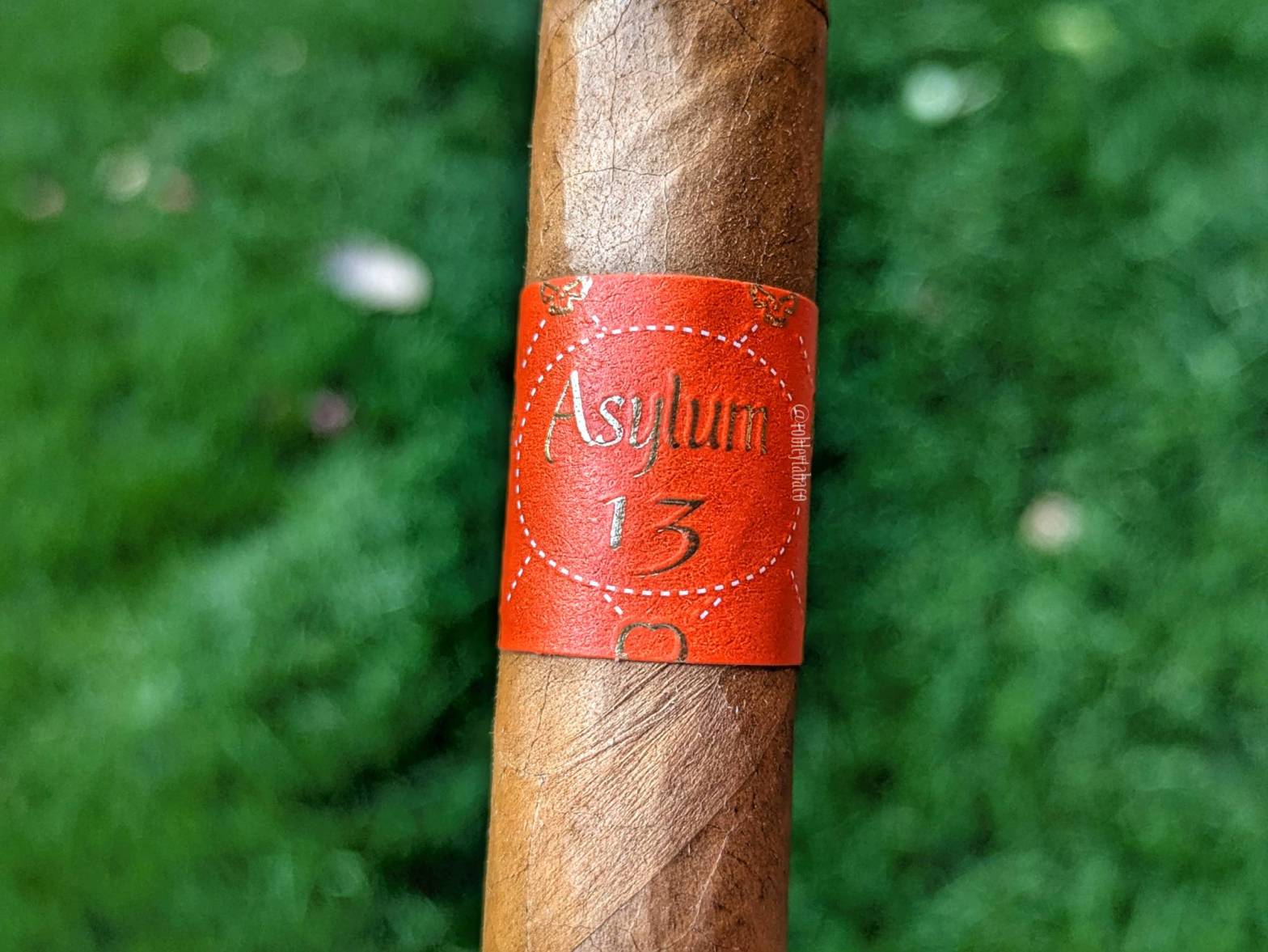 Asylum - Connecticut (Toro) band