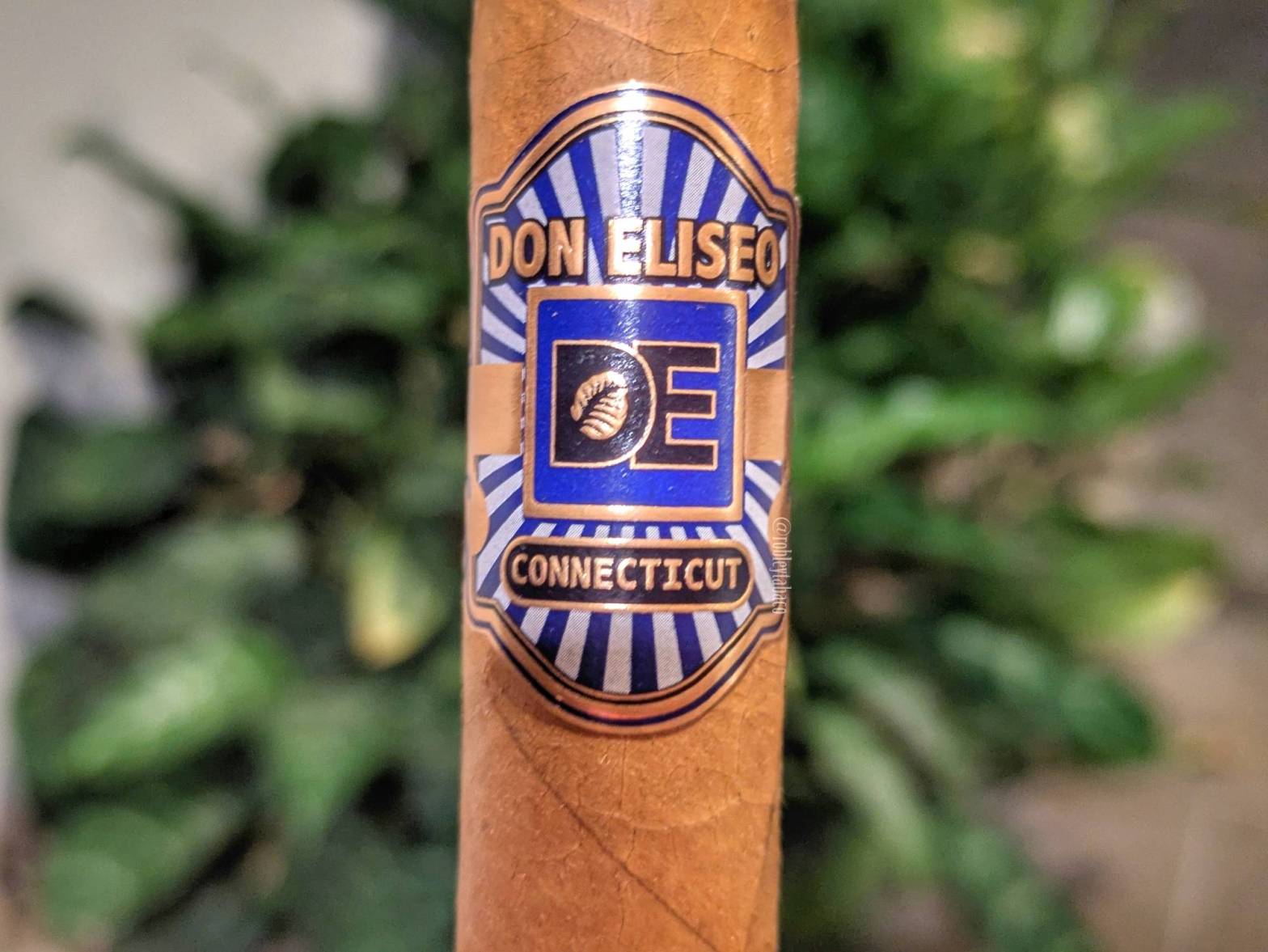 Don Eliseo - Connecticut (Toro) band