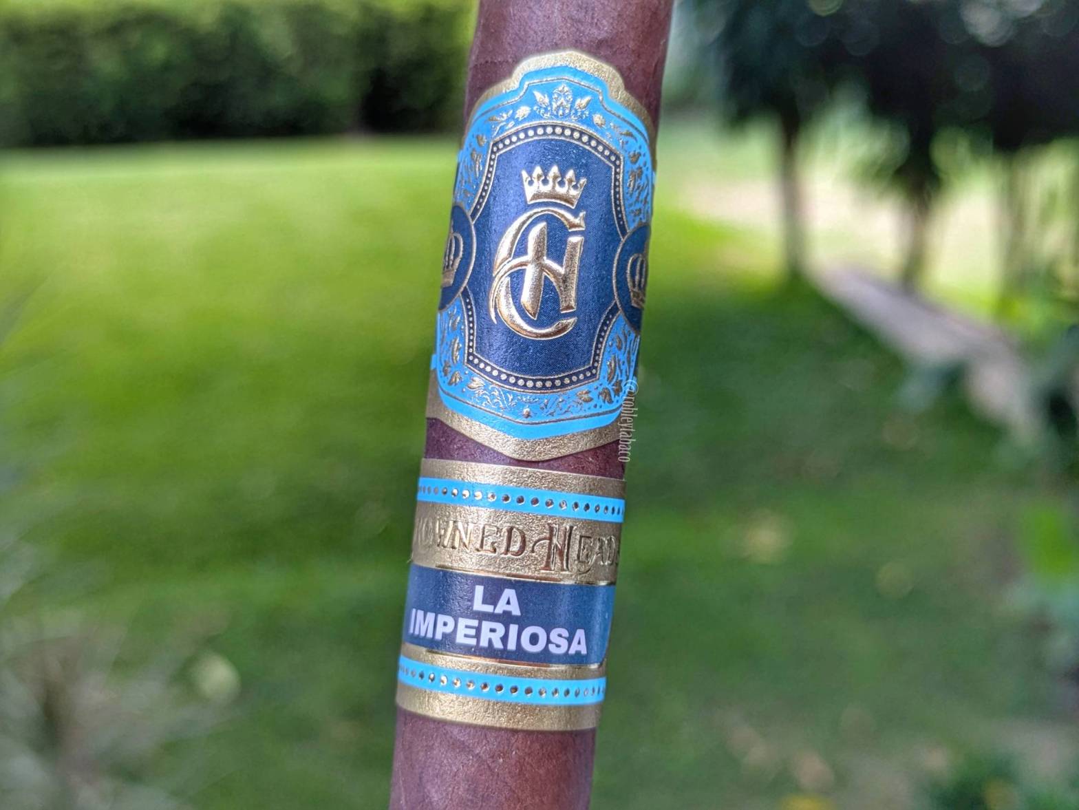 Crowned Heads - La Imperiosa (Corona Gorda) band