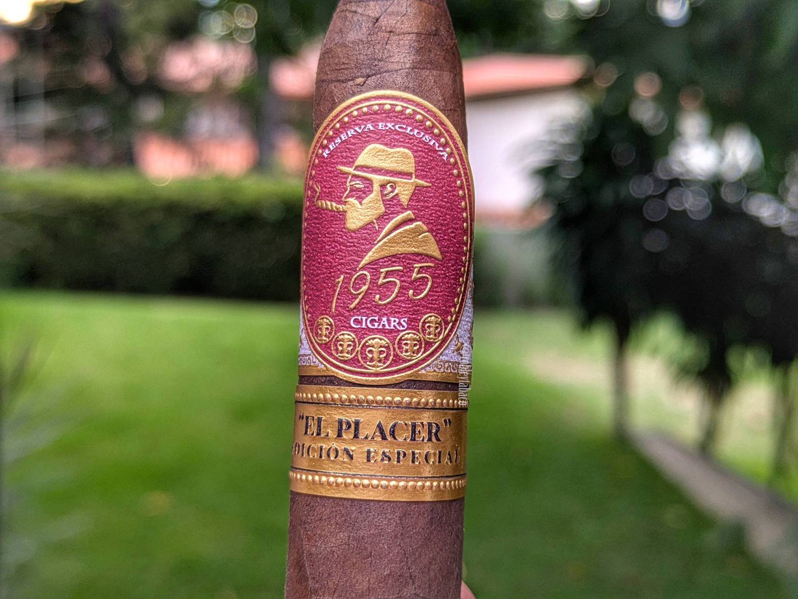Reserva 1955 - Habano Maduro (Salomoncito) band